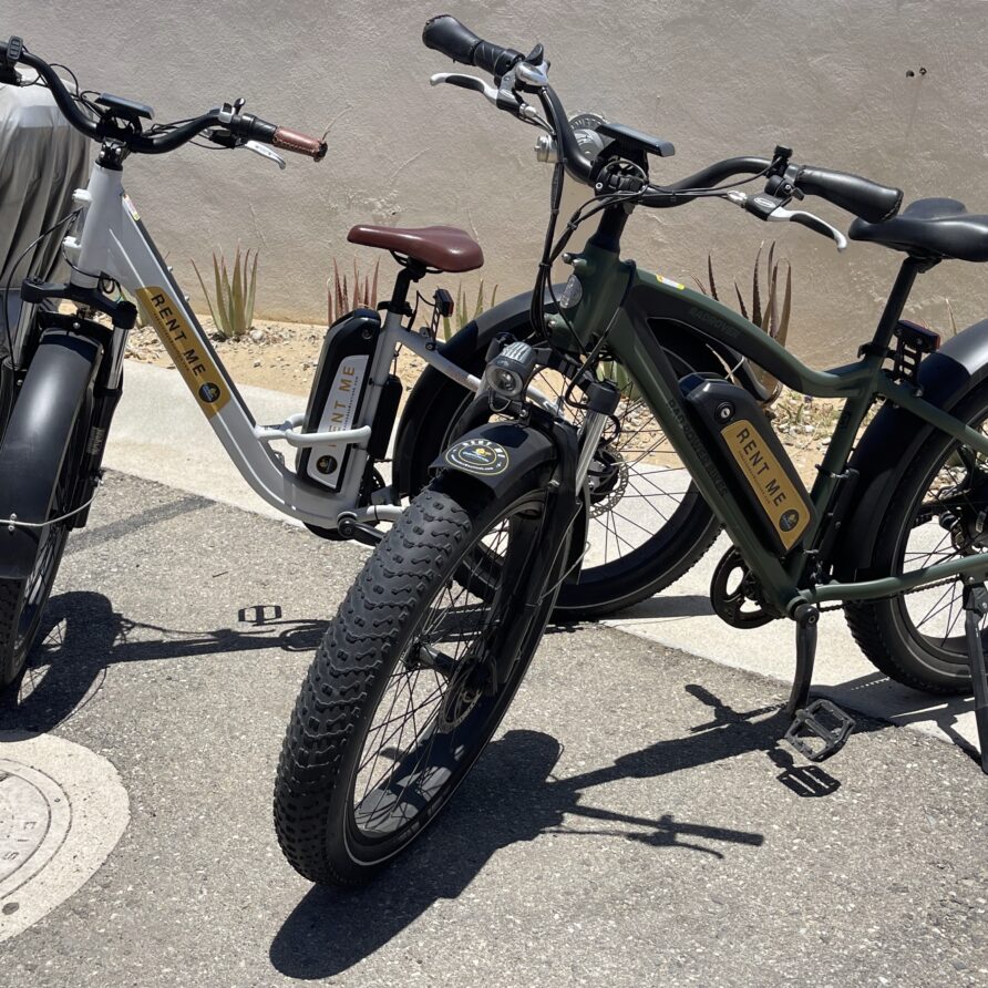 Daily Radrover Step-Thru Electric Bike Rental