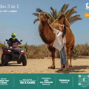 Combo ATV + Camel Tour + Mexican Buffet
