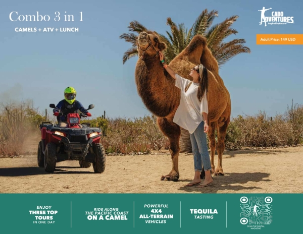 Combo ATV + Camel Tour + Mexican Buffet