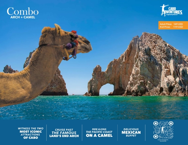 Combo Speedboat Arch + Camel Tour + Mexican Buffet - Adult