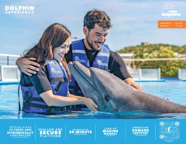 Dolphin Experience - Adult