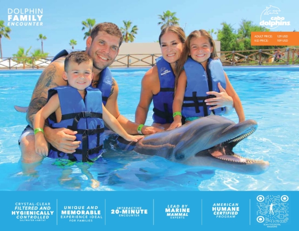 Dolphin Family Encounter - Adult