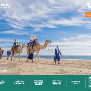 Outback + Camel Safari + Mexican Lunch - Adult