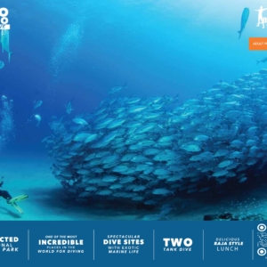 Scuba Dive Cabo Pulmo National Park + Lunch