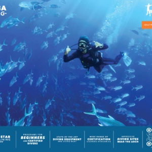 Scuba Dive Cabo