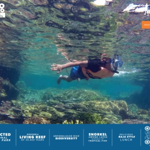 Snorkel Cabo Pulmo National Park + Lunch