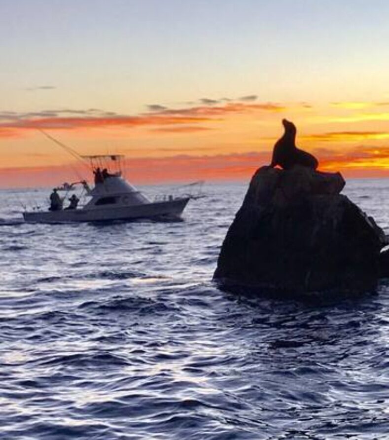 CCV Cabo San Lucas 029